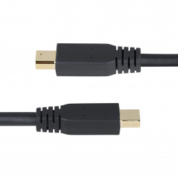 StarTech.com DP14MDPMM10F DisplayPort-kaapeli 3 m Mini DisplayPort Musta
