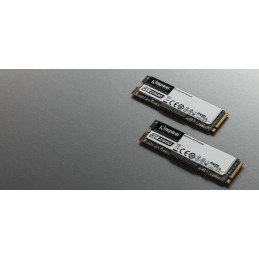 Kingston Technology KC2500 M.2 500 GB PCI Express 3.0 3D TLC NVMe