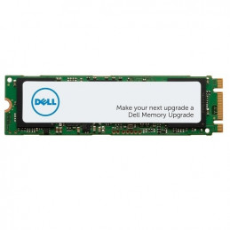 DELL AA615517 SSD-massamuisti M.2 256 GB SATA