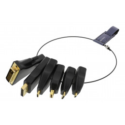 Deltaco HDMI-AR2 cable gender changer DVI HDMI Type-C HDMI Type-D Mini DisplayPort DisplayPort USB Type-C HDMI Type-A HDMI