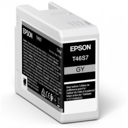Epson UltraChrome Pro 1 kpl Alkuperäinen Harmaa