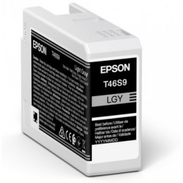Epson UltraChrome Pro 1 kpl Alkuperäinen Vaaleanharmaa