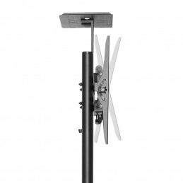 Newstar PLASMA-M1700E kyltin näyttökiinnike 177,8 cm (70") Musta