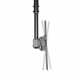 Newstar NM-C440 152,4 cm (60") Musta