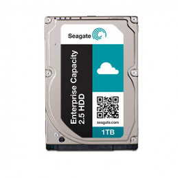 Seagate Constellation .2 1TB 2.5" 1024 GB SAS