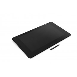 Wacom Cintiq Pro 24 piirtopöytä Musta 5080 lpi 522 x 294 mm USB