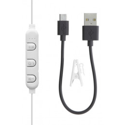 Deltaco HL-BT300 kuulokkeet ja kuulokemikrofoni Langaton In-ear Musiikki Micro-USB Bluetooth Valkoinen
