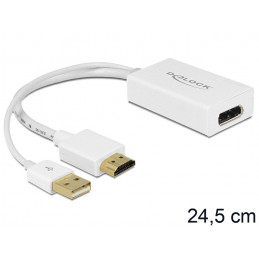 DeLOCK 62496 videokaapeli-adapteri 0,245 m DisplayPort HDMI + USB Valkoinen