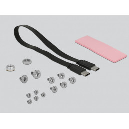 DeLOCK 42609 tallennusaseman kotelo SSD-kotelo Musta M.2