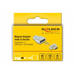 DeLOCK 66433 kaapelin sukupuolenvaihtaja Thunderbolt 3  USB C Hopea