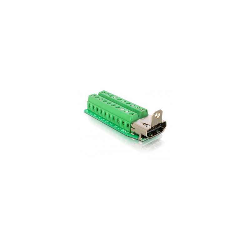 DeLOCK Adapter HDMI female  Terminal Block 20pin