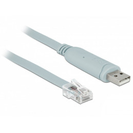 DeLOCK 63920 sarjakaapeli Harmaa 0,5 m USB 2.0 Type-A RJ45