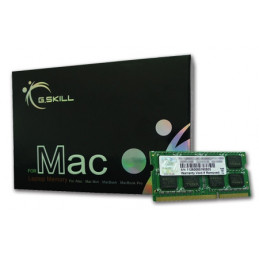 G.Skill 4GB DDR3-1066 SQ MAC muistimoduuli 1 x 4 GB 1066 MHz