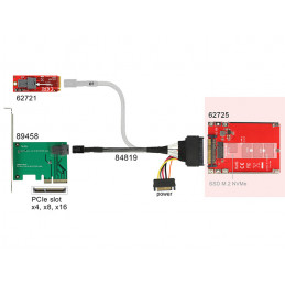 DeLOCK 62725 liitäntäkortti -sovitin Sisäinen M.2