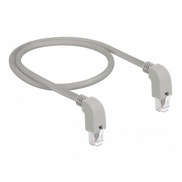 DeLOCK 85860 verkkokaapeli Harmaa 2 m Cat5e SF UTP (S-FTP)