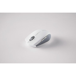 Razer Pro Click Mini hiiri Molempikätinen Langaton RF + Bluetooth Optinen 12000 DPI
