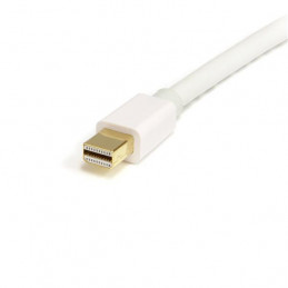 StarTech.com MDP2DPMM2MW DisplayPort-kaapeli 2 m mini DisplayPort Valkoinen