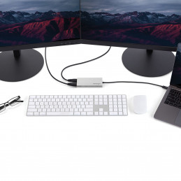 StarTech.com TB32HD24K60 USB grafiikka-adapteri 4096 x 2160 pikseliä Hopea