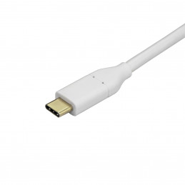 StarTech.com CDP2MDP USB grafiikka-adapteri 3840 x 2160 pikseliä Valkoinen