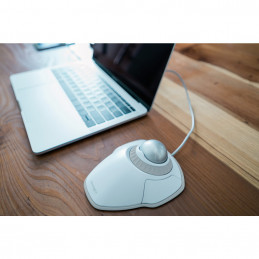 Kensington Orbit hiiri Molempikätinen USB A-tyyppi Trackball