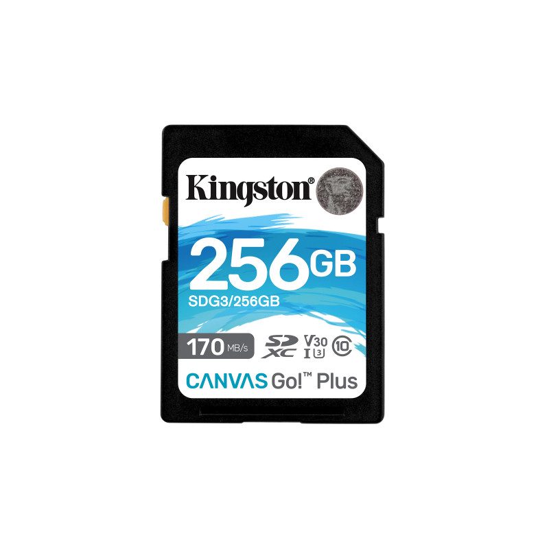 Kingston Technology Canvas Go! Plus 256 GB SD UHS-I Luokka 10