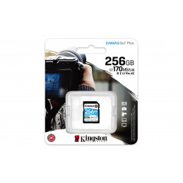 Kingston Technology Canvas Go! Plus 256 GB SD UHS-I Luokka 10