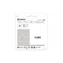 Kingston Technology Canvas Go! Plus 256 GB SD UHS-I Luokka 10