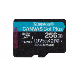 Kingston Technology Canvas Go! Plus 256 GB MicroSD UHS-I Luokka 10