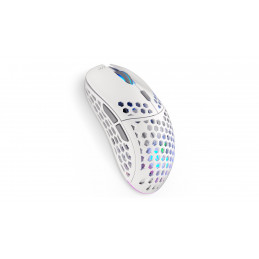 ENDORFY LIX Plus Onyx White Wireless hiiri Oikeakätinen RF Wireless + USB Type-C Optinen 19000 DPI