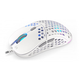 ENDORFY Mouse USB LIX OWH PMW3325 hiiri Molempikätinen USB Type-C Optinen 8000 DPI