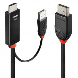 Lindy 41498 videokaapeli-adapteri 1 m HDMI + USB Type-A DisplayPort Musta