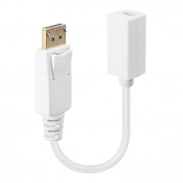 Lindy 41060 videokaapeli-adapteri 0,15 m DisplayPort Mini DisplayPort Valkoinen