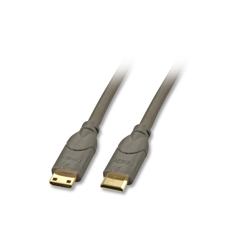 Lindy 2m HDMI CAT2 HDMI-kaapeli HDMI Type C (Mini) Musta