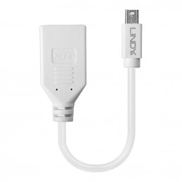 Lindy 41021 DisplayPort-kaapeli 0,15 m Mini DisplayPort Valkoinen