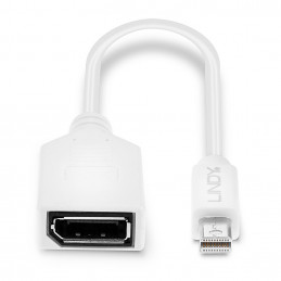 Lindy 41021 DisplayPort-kaapeli 0,15 m Mini DisplayPort Valkoinen