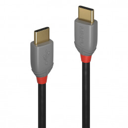 Lindy 36870 USB-kaapeli 0,5 m USB 2.0 USB C Musta, Harmaa