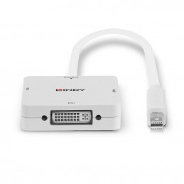 Lindy 41035 videokaapeli-adapteri 0,2 m Valkoinen