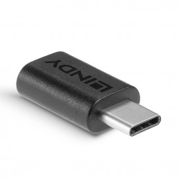 Lindy 41896 kaapelin sukupuolenvaihtaja USB-C Micro-B Musta