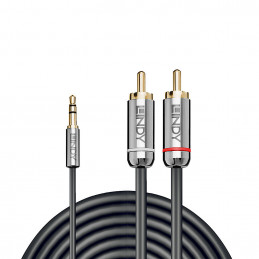 Lindy 35336 audiokaapeli 5 m 3.5mm 2 x RCA Antrasiitti