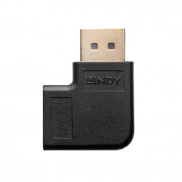 Lindy 41334 kaapelin sukupuolenvaihtaja DisplayPort Musta