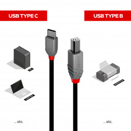 Lindy 36943 USB-kaapeli 3 m USB 2.0 USB C USB B Musta