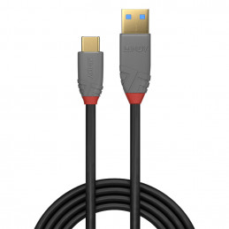Lindy 36910 USB-kaapeli 0,5 m USB C USB A Musta, Harmaa
