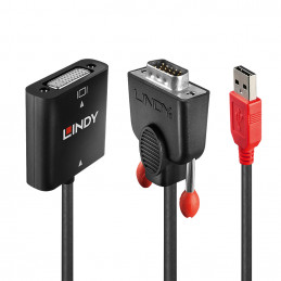 Lindy 38184 videokaapeli-adapteri 0,2 m DVI-D VGA (D-Sub) + USB Musta, Oranssi