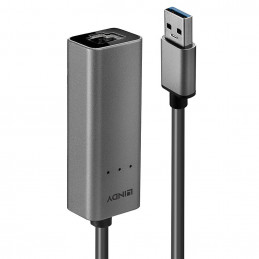 Lindy 43313 kaapelin sukupuolenvaihtaja USB-A RJ-45 Hopea