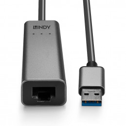 Lindy 43313 kaapelin sukupuolenvaihtaja USB-A RJ-45 Hopea