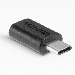 Lindy 41893 kaapelin sukupuolenvaihtaja USB 3.2 Type C Musta