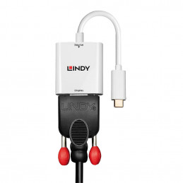 Lindy 43355 videokaapeli-adapteri USB Type-C VGA (D-Sub) Valkoinen