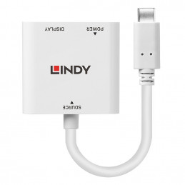 Lindy 43289 videokaapeli-adapteri 0,15 m USB Type-C DisplayPort Valkoinen
