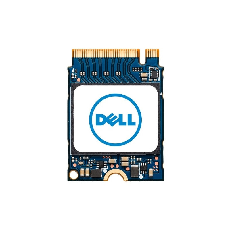 DELL AB673817 SSD-massamuisti M.2 1000 GB PCI Express NVMe