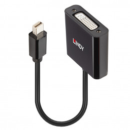 Lindy 41736 kaapelin sukupuolenvaihtaja Mini DisplayPort DVI-D Musta